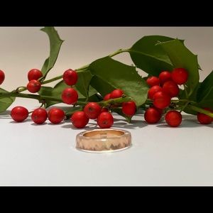 Stackable Lucite Ring with 14k Rose Gold Inside